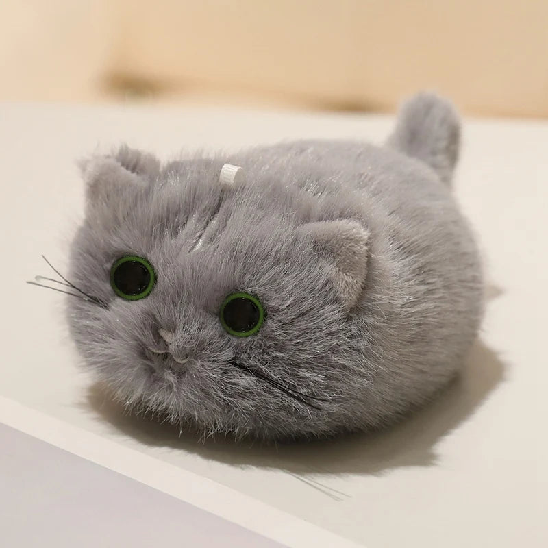 かわいい ふわふわ ミニ 猫 ぬいぐるみ 多色セット 青い目あり