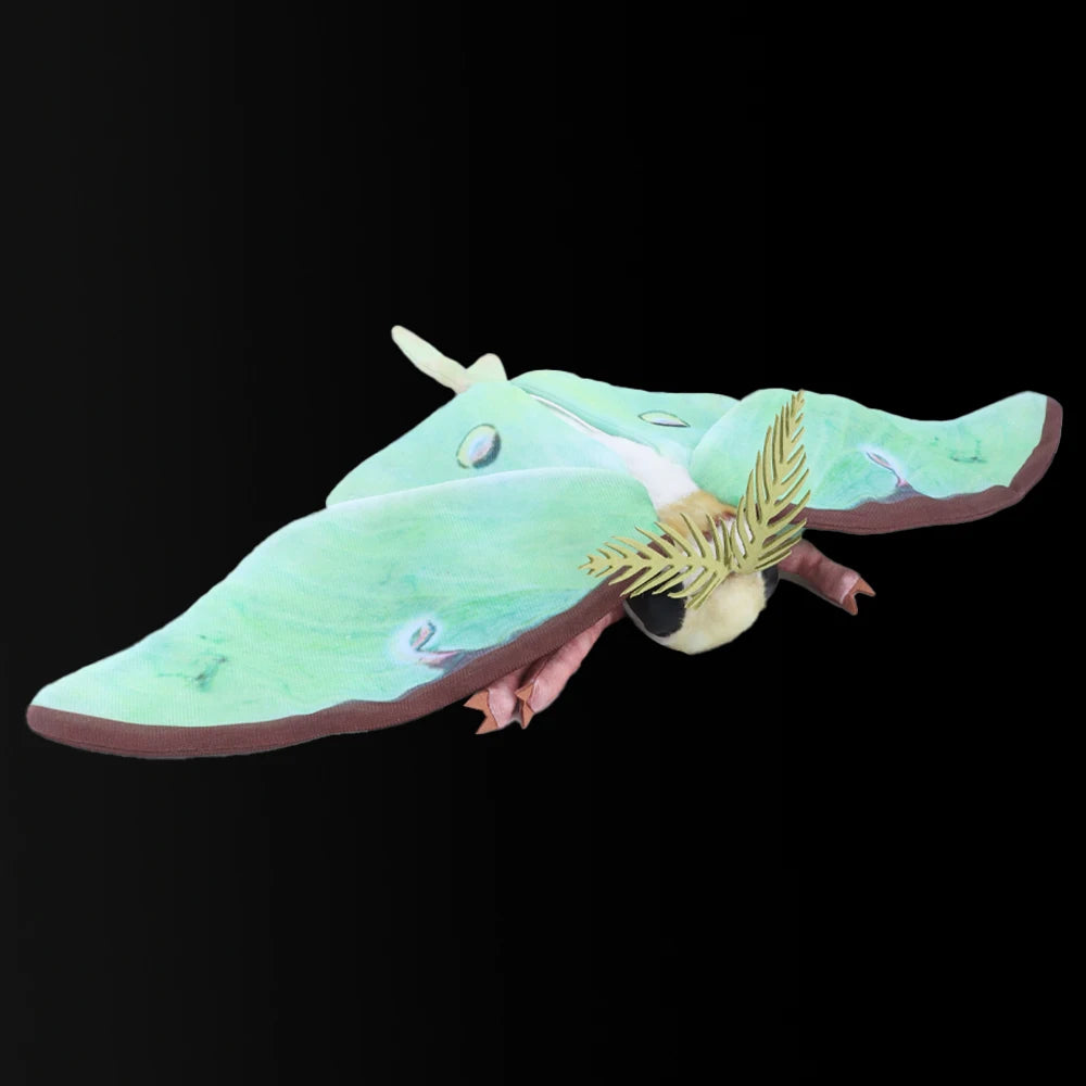 Cute Insect Silkworm Rosy Maple Moth Plush Toys Fidelity Luna Moth Plushie Insect Lifelike Hyalophora Cecropia Kawaii Kids Toys