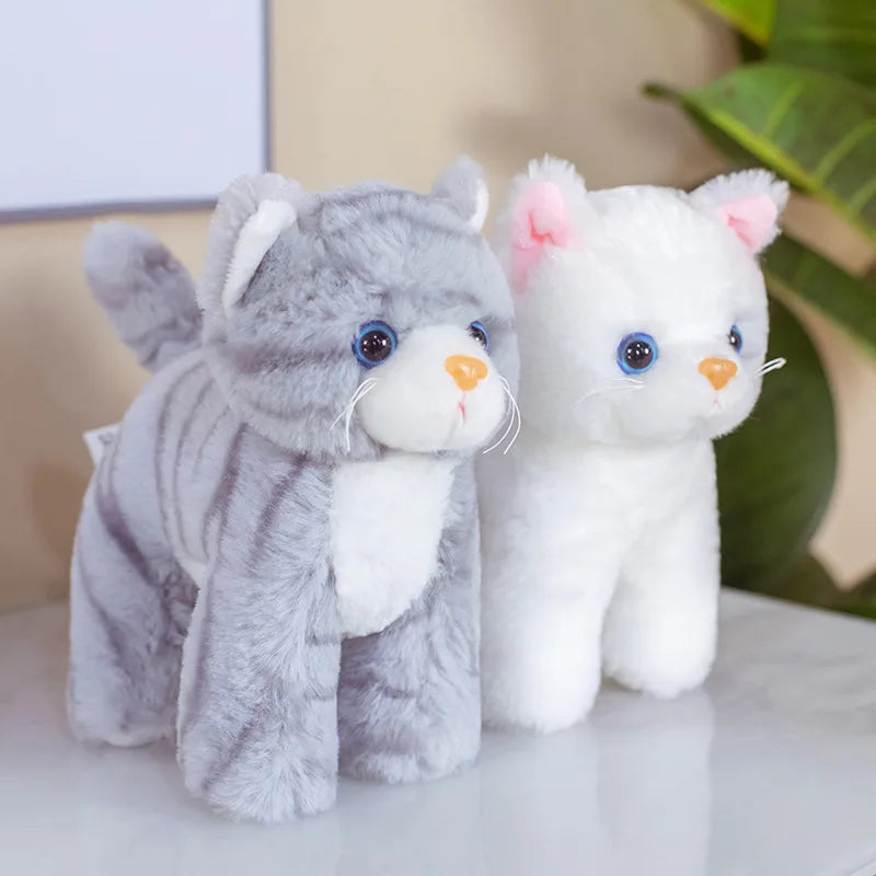 愛らしいふわふわ子猫 ぬいぐるみ 青い目の白猫