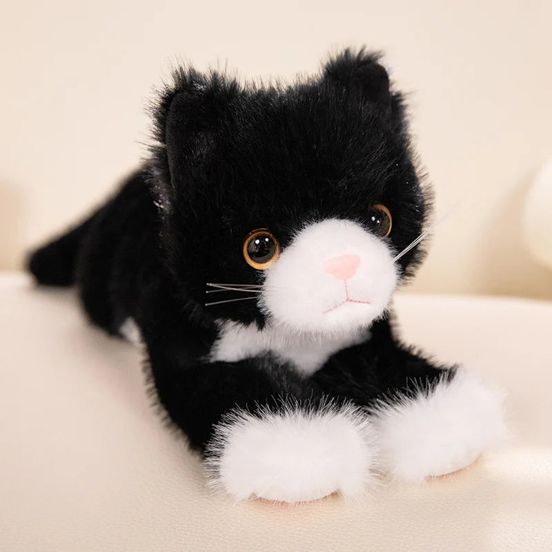 ふわふわ 可愛い オッドアイの仔猫 ぬいぐるみ 多色展開