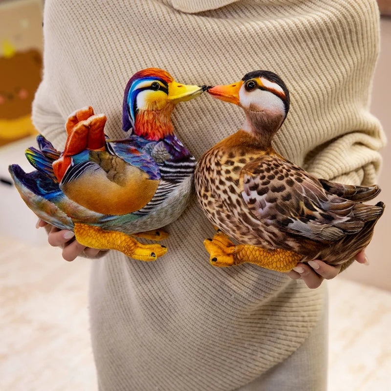 リアルなアヒルのつがいぬいぐるみ オシドリと野鳥