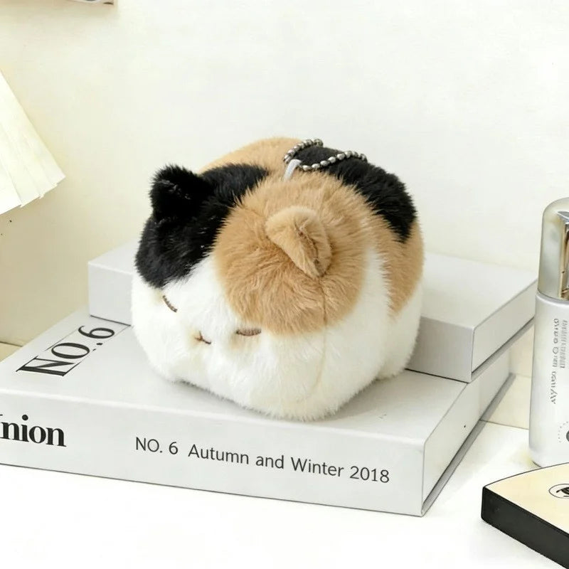 もこもこ猫耳 丸い眠り顔 湯たんぽ
