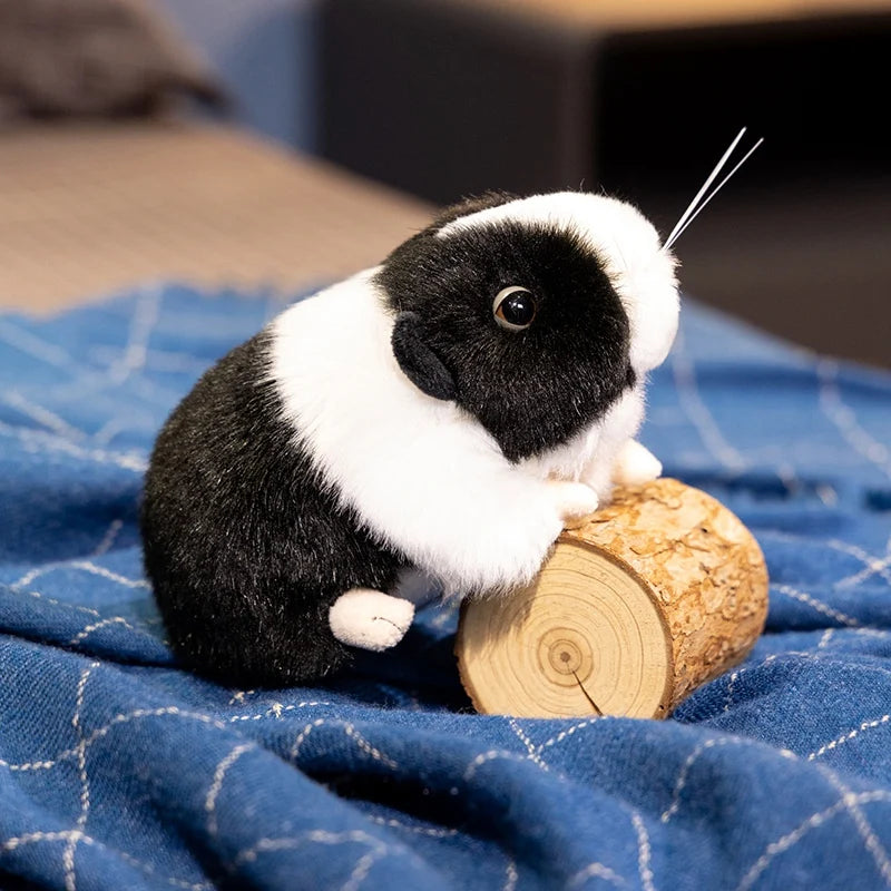 ふわふわ バイカラー ミニ モルモット ぬいぐるみ
