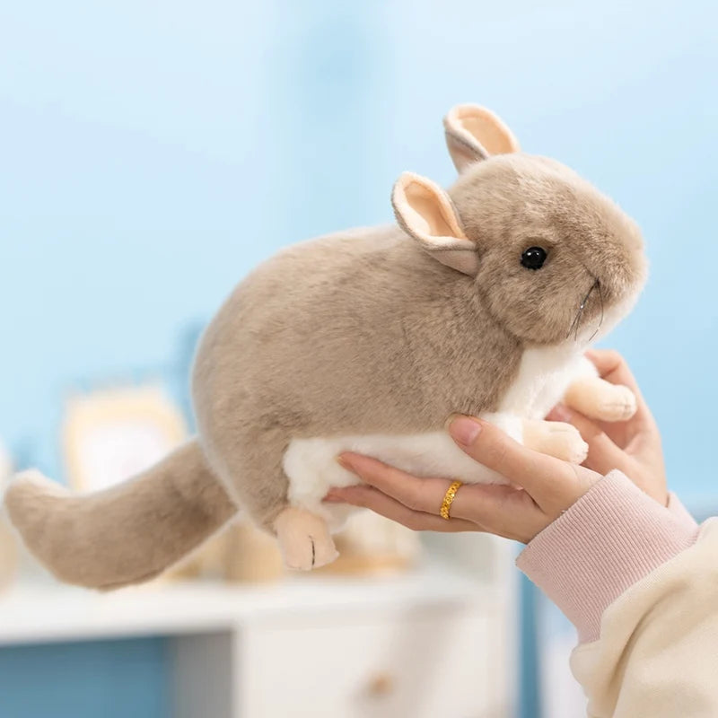 ベージュのチンチラ ぬいぐるみ スイカ柄クッション抱っこ
