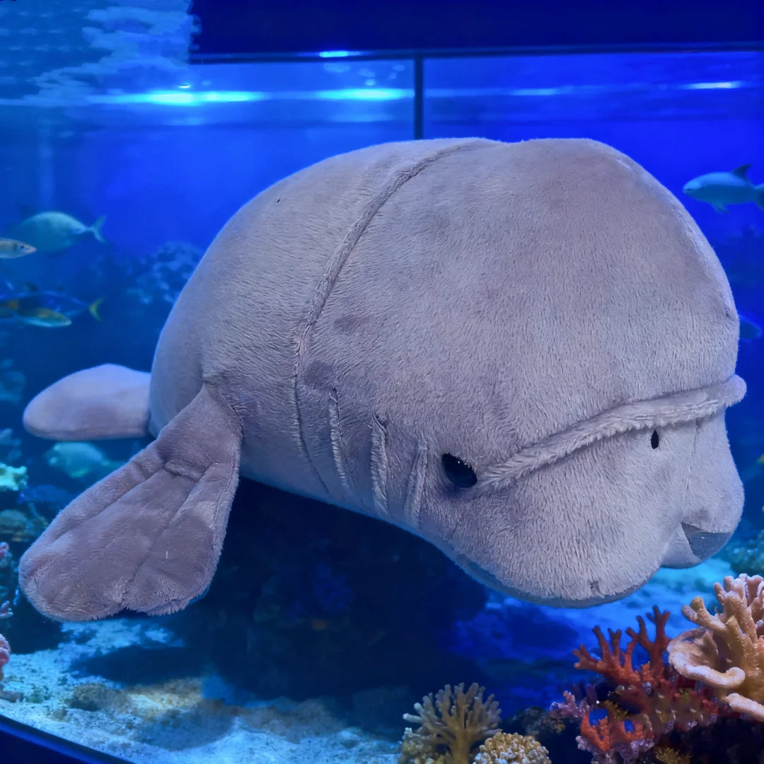 ふわふわ ビッグ ライトグレー ジュゴン ぬいぐるみ