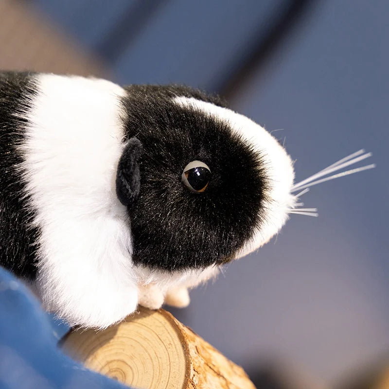 ふわふわ バイカラー ミニ モルモット ぬいぐるみ