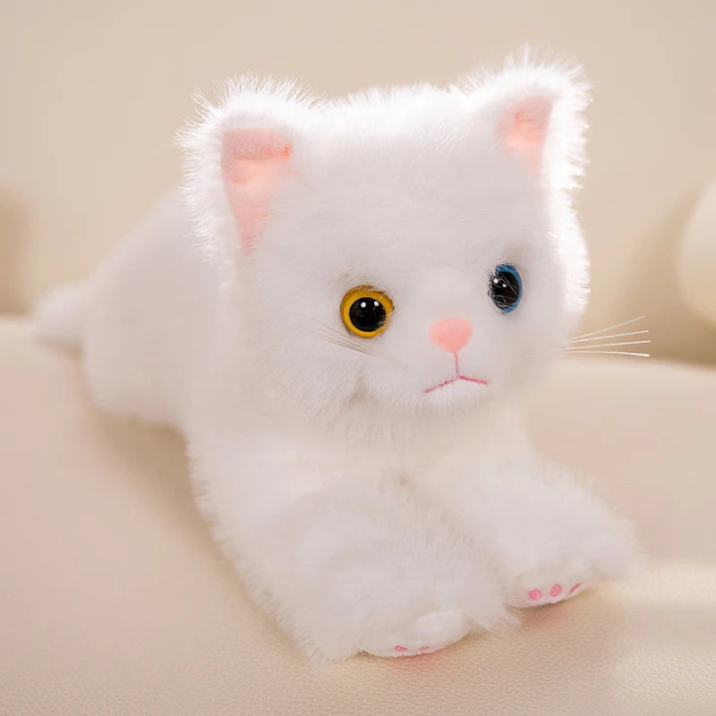 ふわふわ 可愛い オッドアイの仔猫 ぬいぐるみ 多色展開