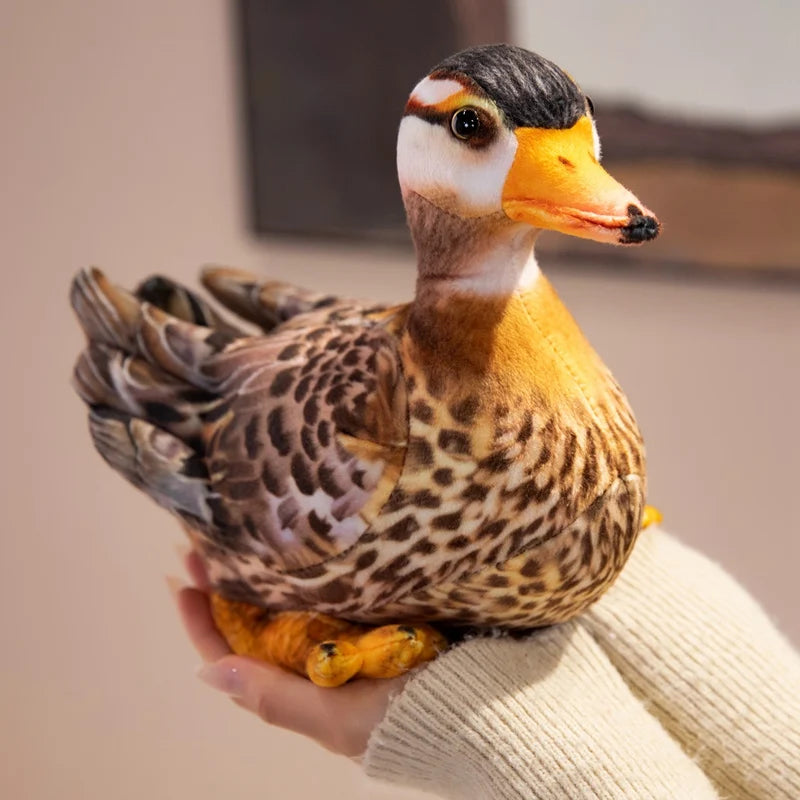 リアルなアヒルのつがいぬいぐるみ オシドリと野鳥