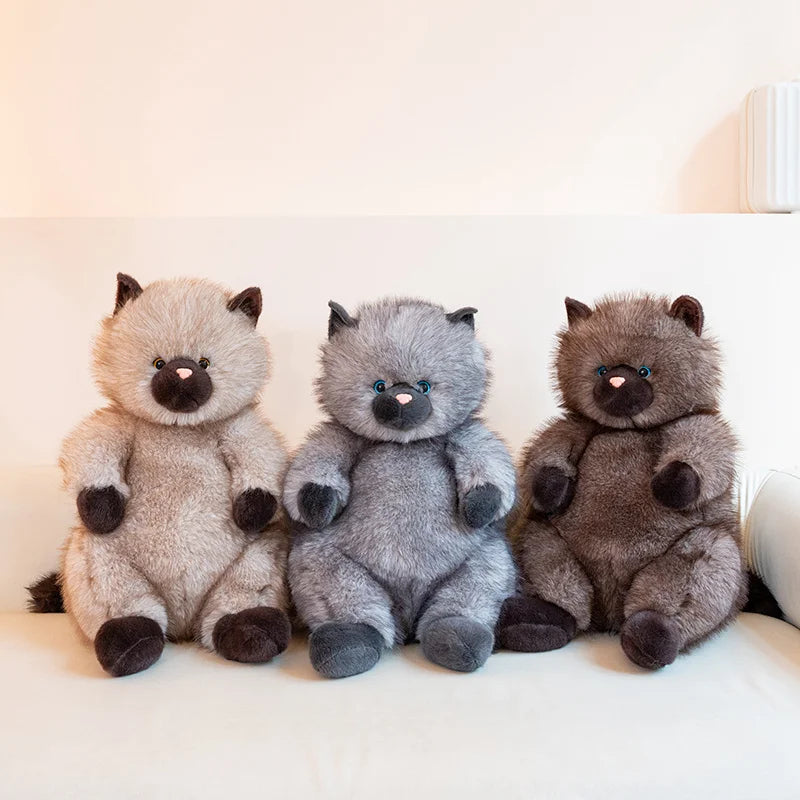 まるまる もふもふ猫ぬいぐるみ シールポイント＆濃いブラウン