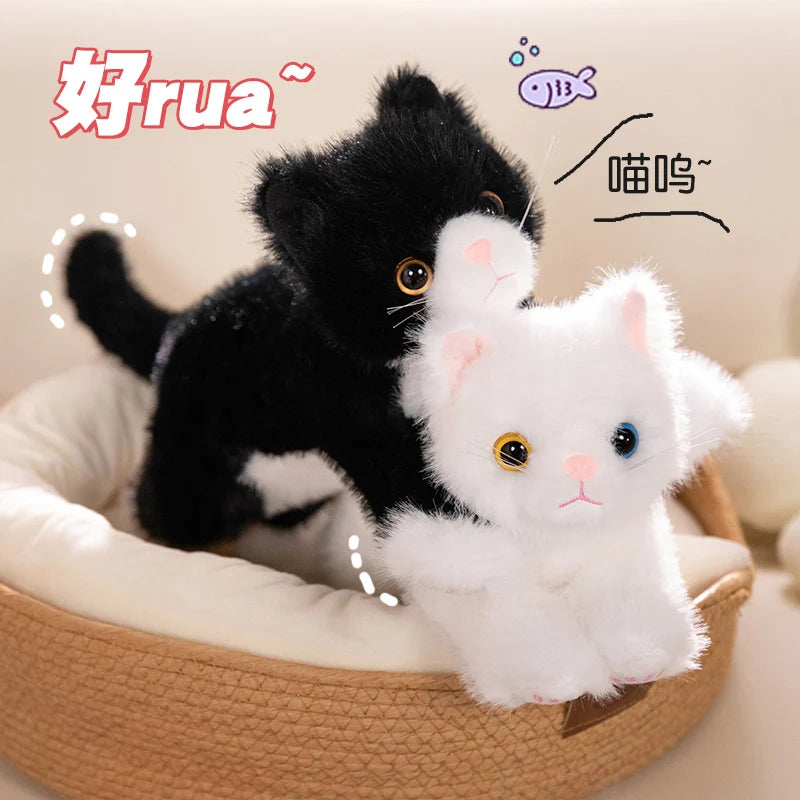 ふわふわ 可愛い オッドアイの仔猫 ぬいぐるみ 多色展開