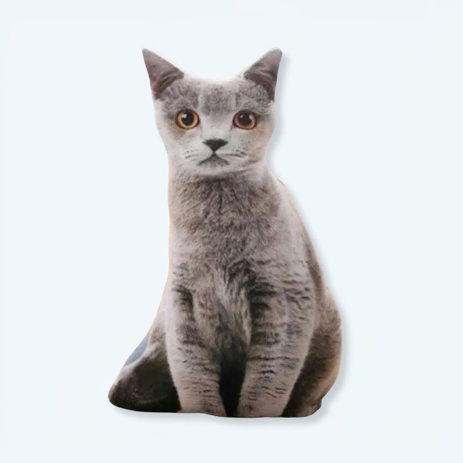 グレーの猫のぬいぐるみ、子供用の柔らかい抱き枕、50cm、The Plush Company