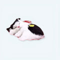 お子様の睡眠に最適な、柔らかい白黒の猫のぬいぐるみ - The Plush Company