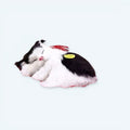 ご自宅で寄り添ったり、眠ったりするのに最適な、柔らかいグレーのトラ猫のぬいぐるみ。The Plush Company