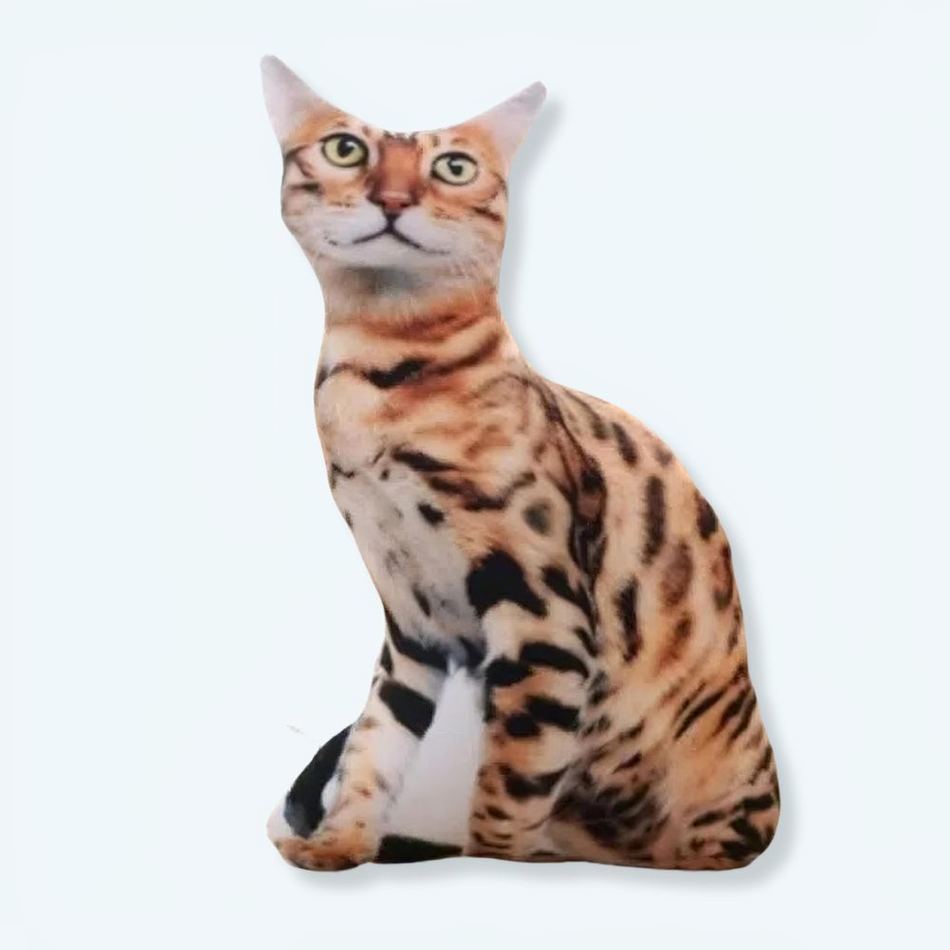 柔らかい茶色のトラ猫のぬいぐるみ、子供のための抱き心地の良い、50cm、The Plush Company