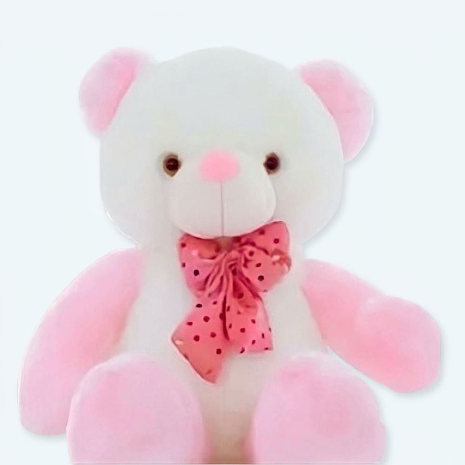 柔らかくてかわいいピンクのテディベア、子供向けノベルティギフト、The Plush Company