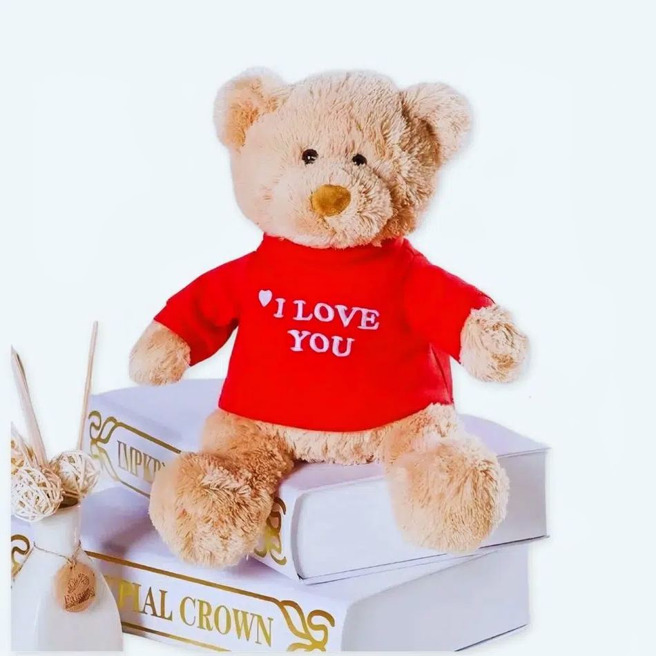 愛のメッセージが込められた柔らかいテディベア、ロマンチックなギフト、The Plush Company